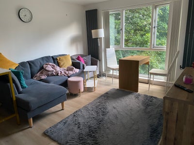 Beautiful single room to rent Main Photo