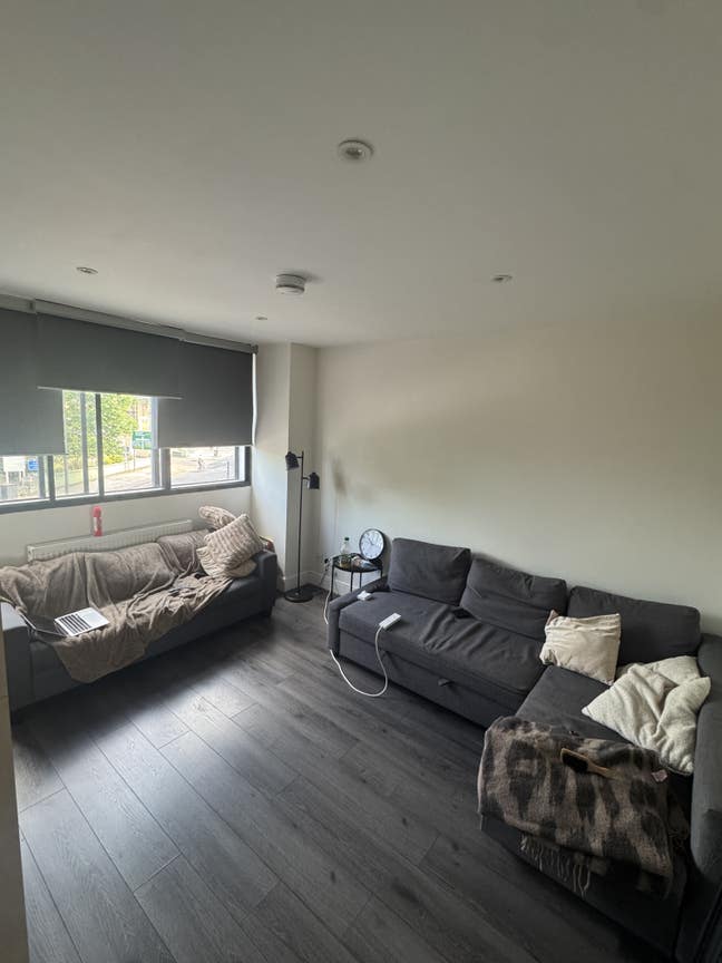 Double Room for rent in Brixton Hill Main Photo