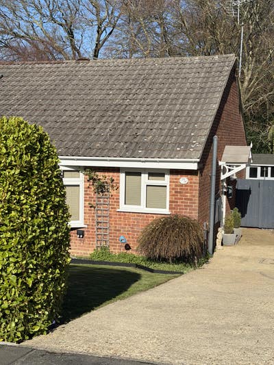 1 bed bungalow new forest  Main Photo