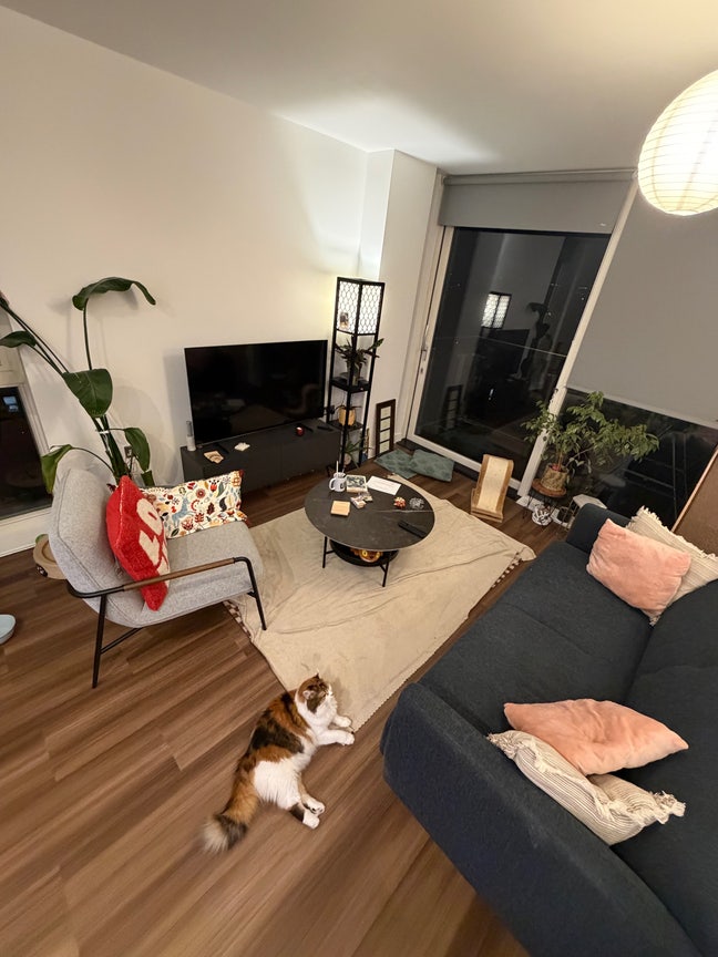 Bright flat w lovely neighbours, great connection Main Photo