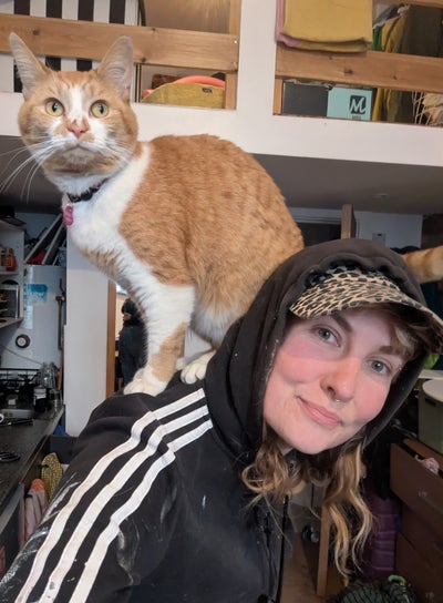 Me and my cat are looking for a room Main Photo