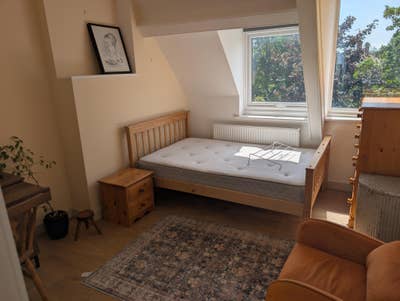 Live in land lord seeking individual tenant Main Photo