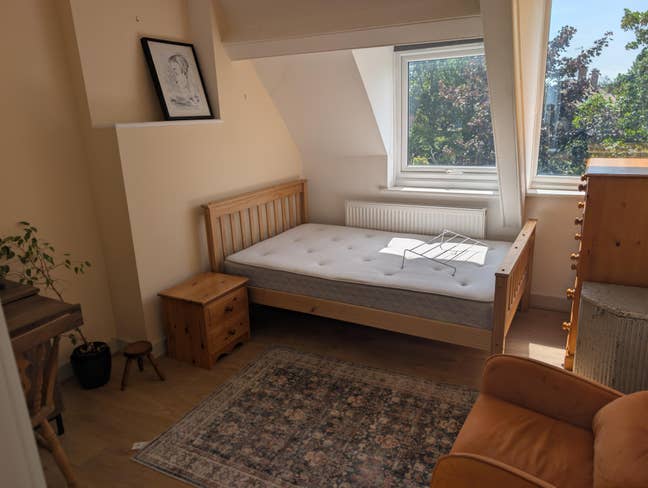 Live in land lord seeking individual tenant Main Photo