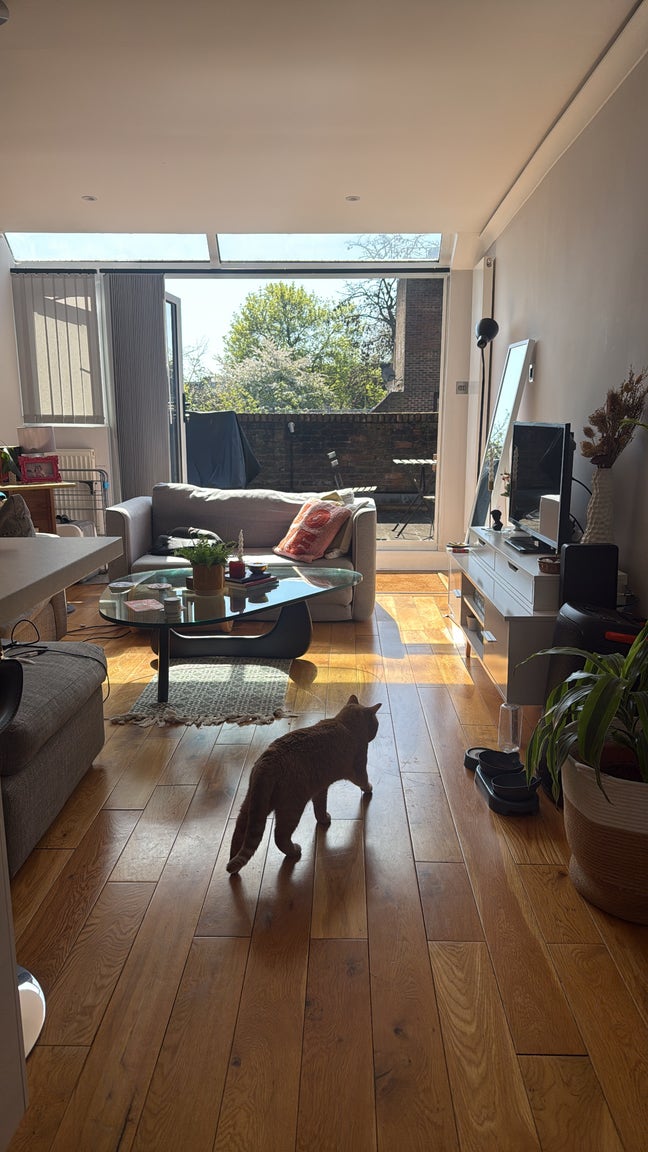 Bright double room in Kentish Town Main Photo