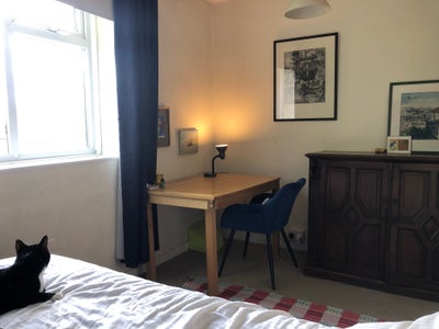 Flat for cat loving person or couple  Main Photo