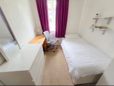Single room available NOW Main Photo