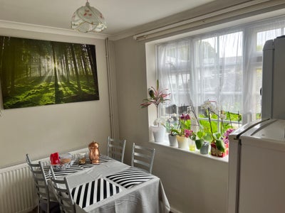 Nice double room near town centre (all bills inc.) Main Photo