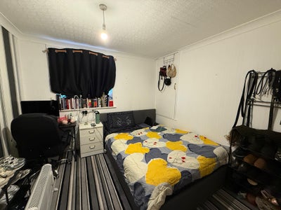Beautiful spacious room in a 1st floor flat  Main Photo