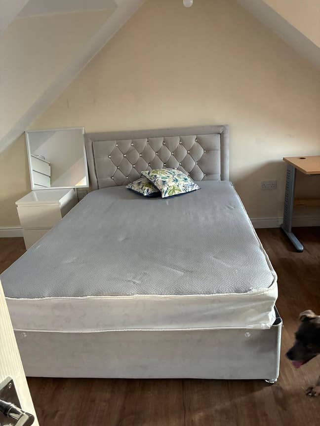 Double Room Available near 24hr Tesco Hamilton Main Photo