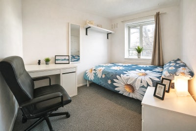 Small Double+Living Room in Lovely Holloway Home  Main Photo