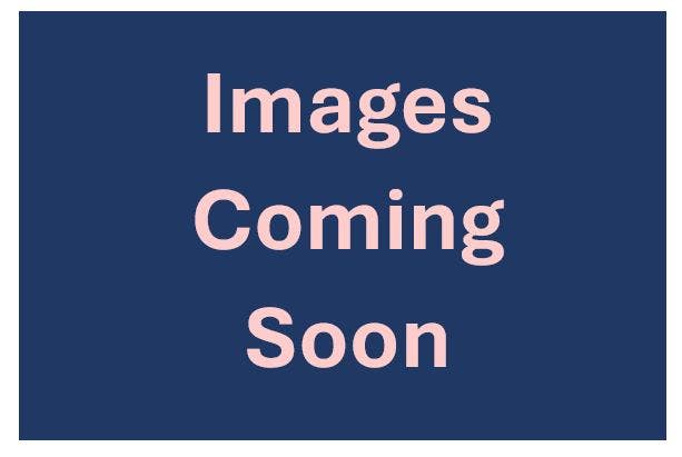 Spacious Double EnSuite in Chatham  Main Photo