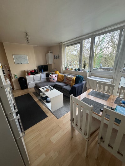 Single Room Available Main Photo