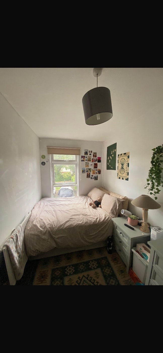 Double room for a female professional  Main Photo