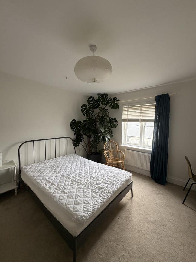Large, Sunny Double Room in Peaceful Shared House  Main Photo