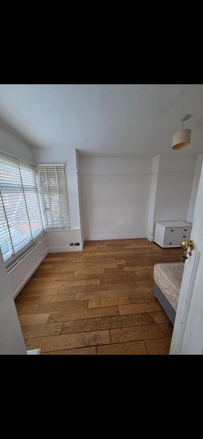 Freshly painted large room available now!!!!!!! Main Photo