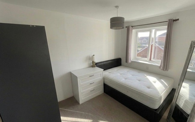 Quiet, Friendly Home: Lovely Double Room Main Photo