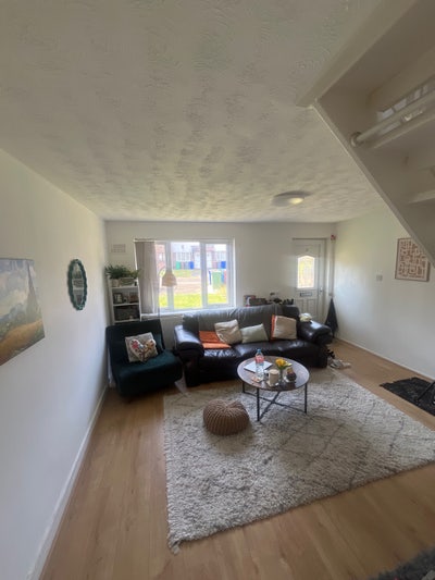 Looking for a housemate  Main Photo