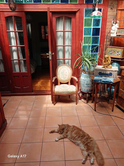 Great ensuite studio with separate entrance and    Main Photo