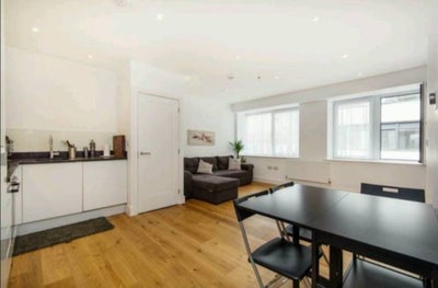 Single room in tidy flat  Main Photo