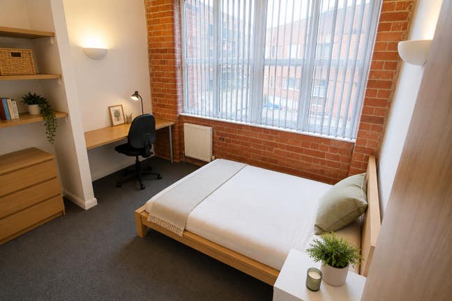 Professional Room Available Main Photo