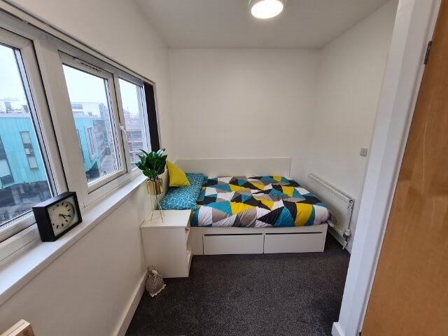 Professional Room Available Main Photo