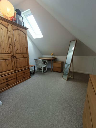 Large Single Room with Great Bathroom Setup Main Photo