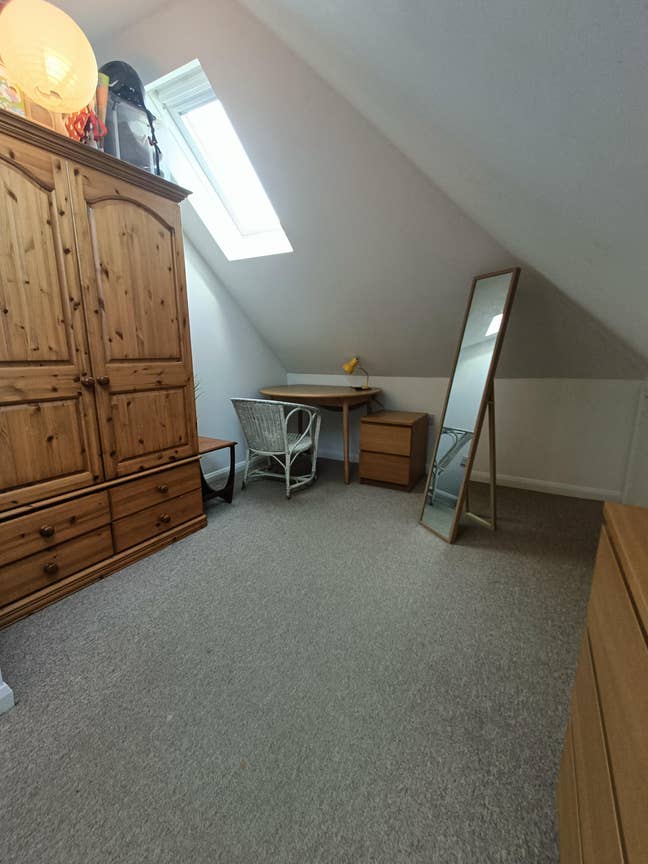 Large Single Room with Great Bathroom Setup Main Photo