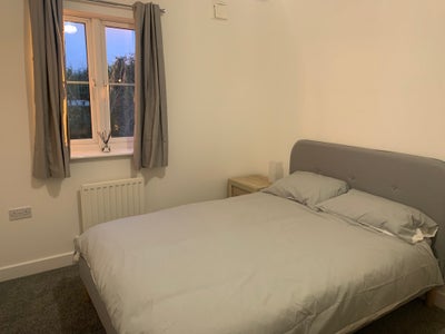 Large Double next to bathroom in Shared Town House Main Photo