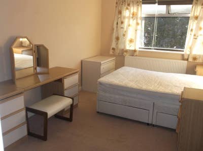 New Housemate for all girls house Main Photo
