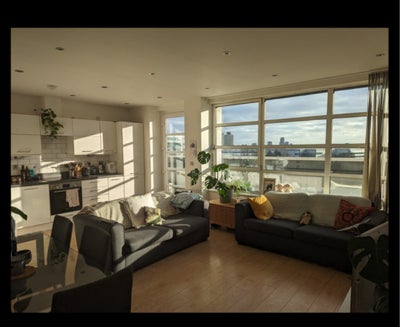 Sunny room in Bow/Stratford Main Photo