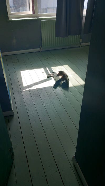  One hour from London, Double Room Available. ME19 Main Photo