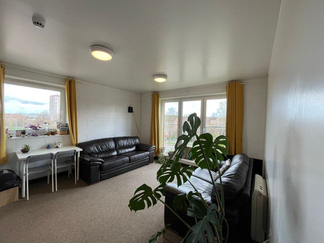 Room in shared Flat Young Prof/mature student Main Photo