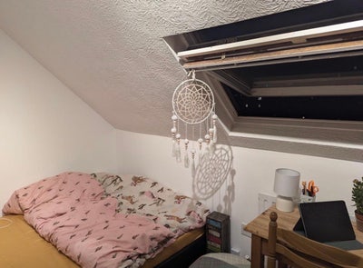 Double attic room hollingdean 5bed Main Photo
