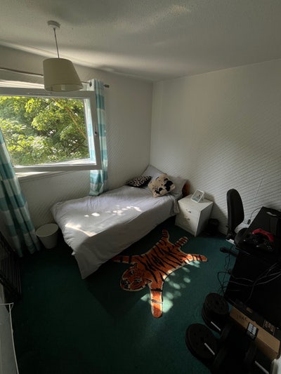 Single Room Available in 3 Bed Flat  Main Photo