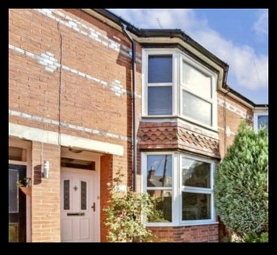 1 Very Large Room available 1 Sept Central Horsham Main Photo