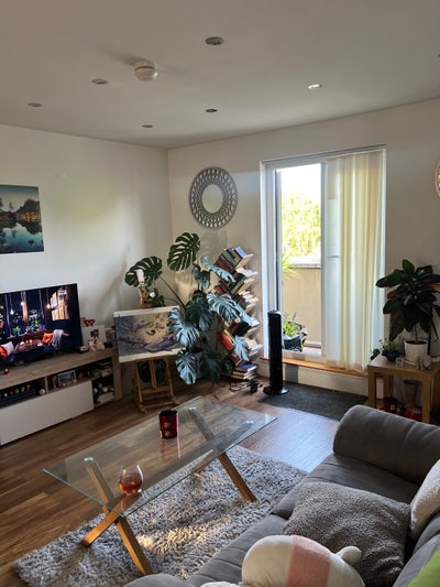 Looking for a flatmate!  Main Photo