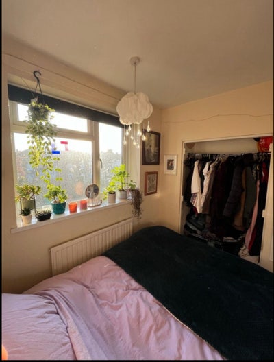 🍃☀️Sunny double room near Balham station🌷☀️ Main Photo