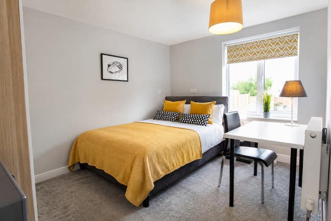 Double Room in Professional Knowle House Share Main Photo