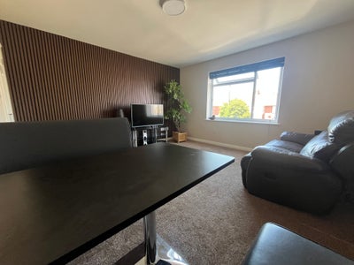 Fully refurbished  luxury large  2 bedroom flat  Main Photo