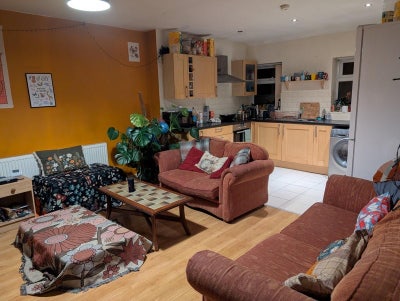 Veggie/Vegan Flatshare in South Liverpool Main Photo