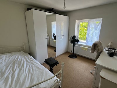 Double room in Muswell Hill   Main Photo