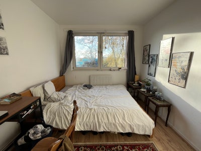Double Room in Friendly Flat! Main Photo