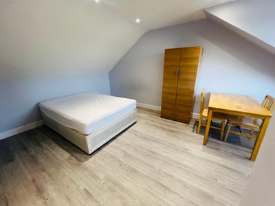 Large Loft En-Suite in Breand New House Main Photo