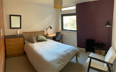 Furnished double room in Summertown Main Photo