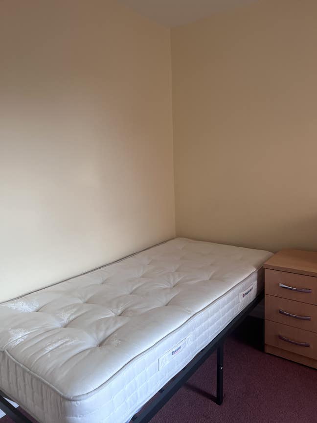 Cozy Room in New Hinksey  Main Photo