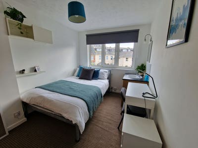 Sunny Double Room for One person Main Photo