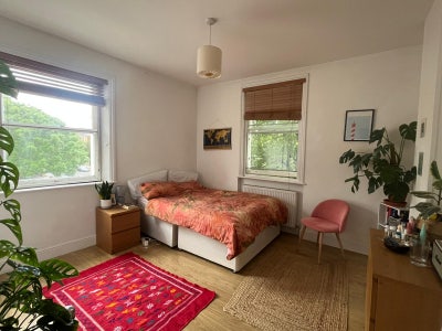 Double room available in spacious and social flat Main Photo