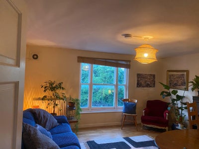 Bright room in community oriented flat in Deptford Main Photo