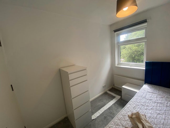 Single One-bed for Rent Main Photo