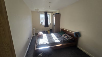 Sharing bed in a double room in 2bhk Flat  Main Photo